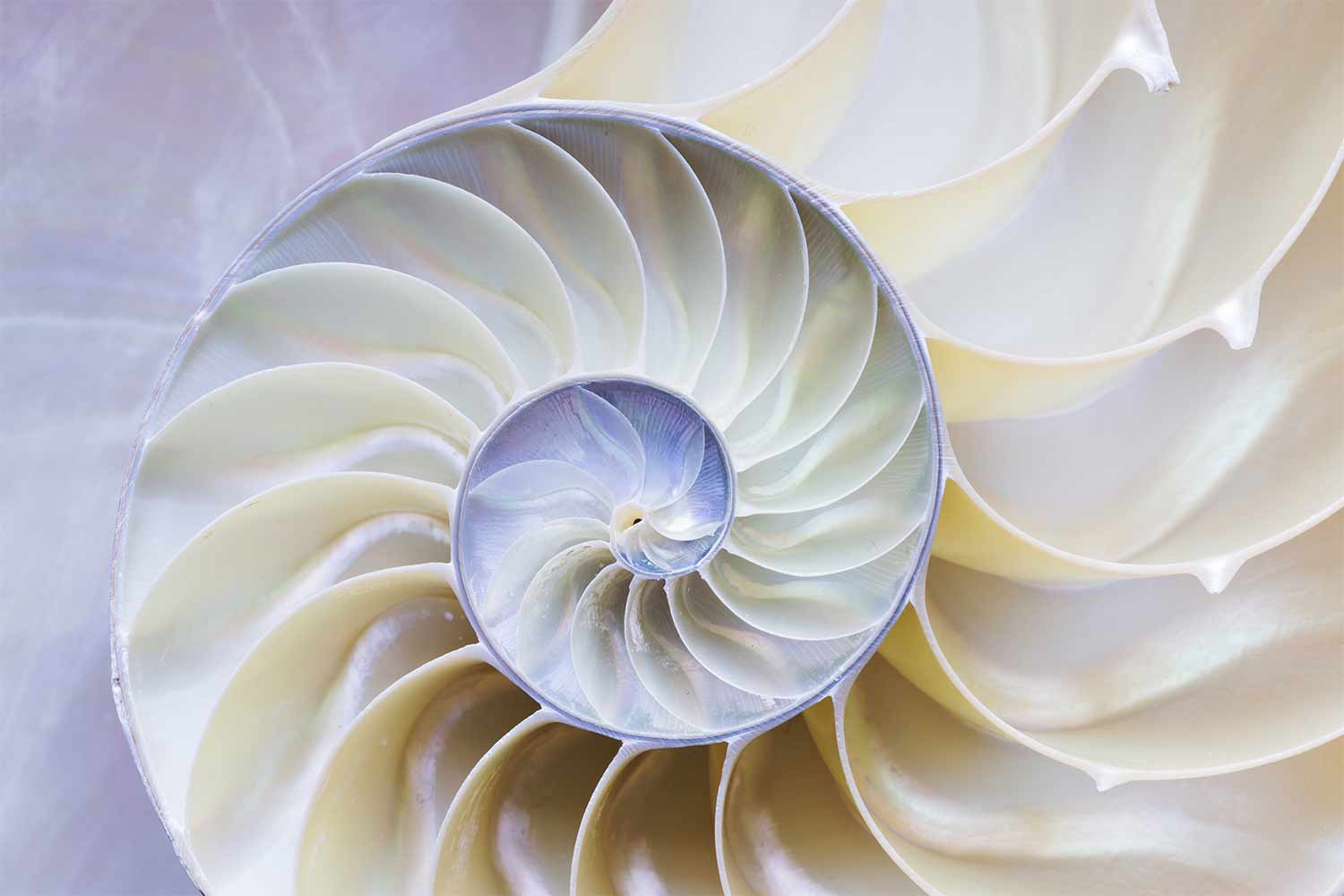 spirale de vie spirale de vie vue par Soleann Kinésiologie